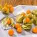 Physalis - what is it, edible and decorative species, beneficial properties and harm of berries