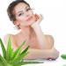Aloe vera: lääkinnälliset ominaisuudet ja vasta-aiheet
