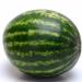 Methods for determining the ripeness of watermelon and melon in the garden How to know when to shoot watermelons